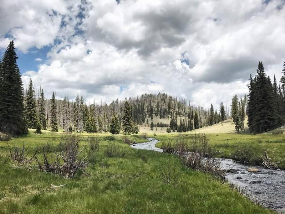 The Woodpecker Barn - A private, secluded two bedroom / 2 bathroom apt view 3