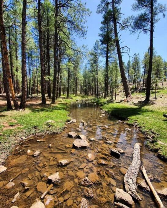 The Woodpecker Barn - A private, secluded two bedroom / 2 bathroom apt view 5