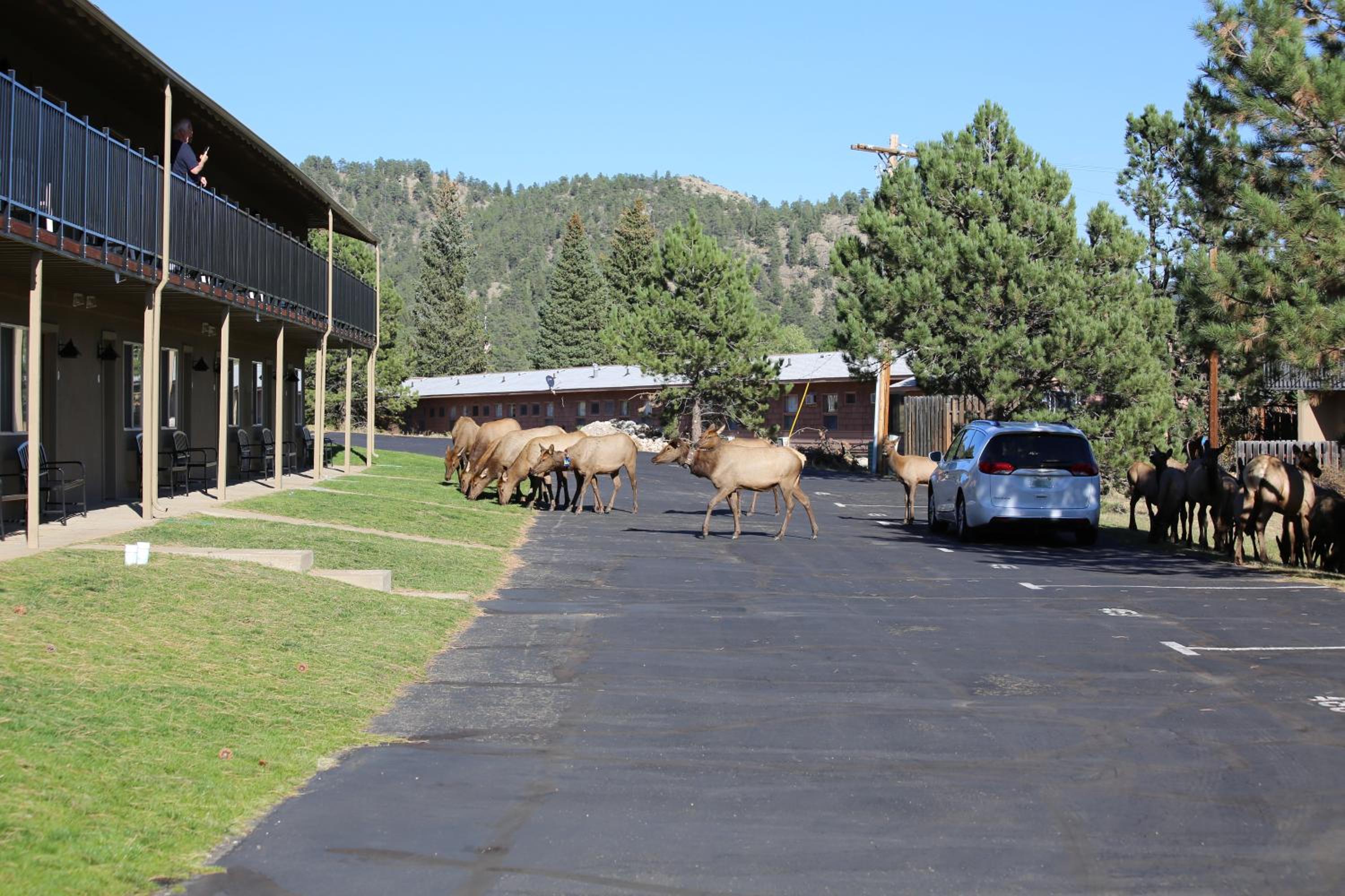 Quality Inn near Rocky Mountain National Park