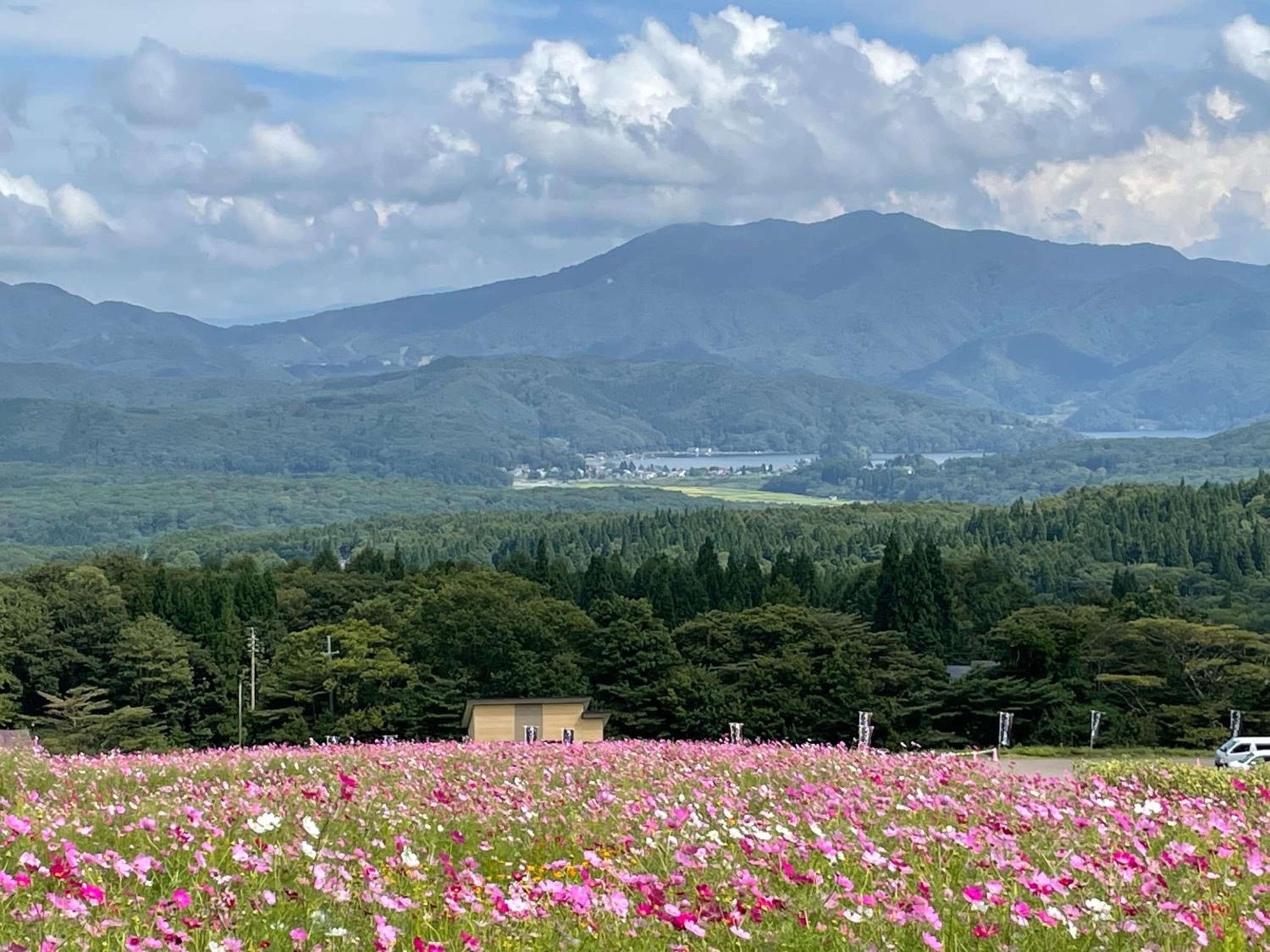 Petit Hotel Kazekozou, Shinano - 13