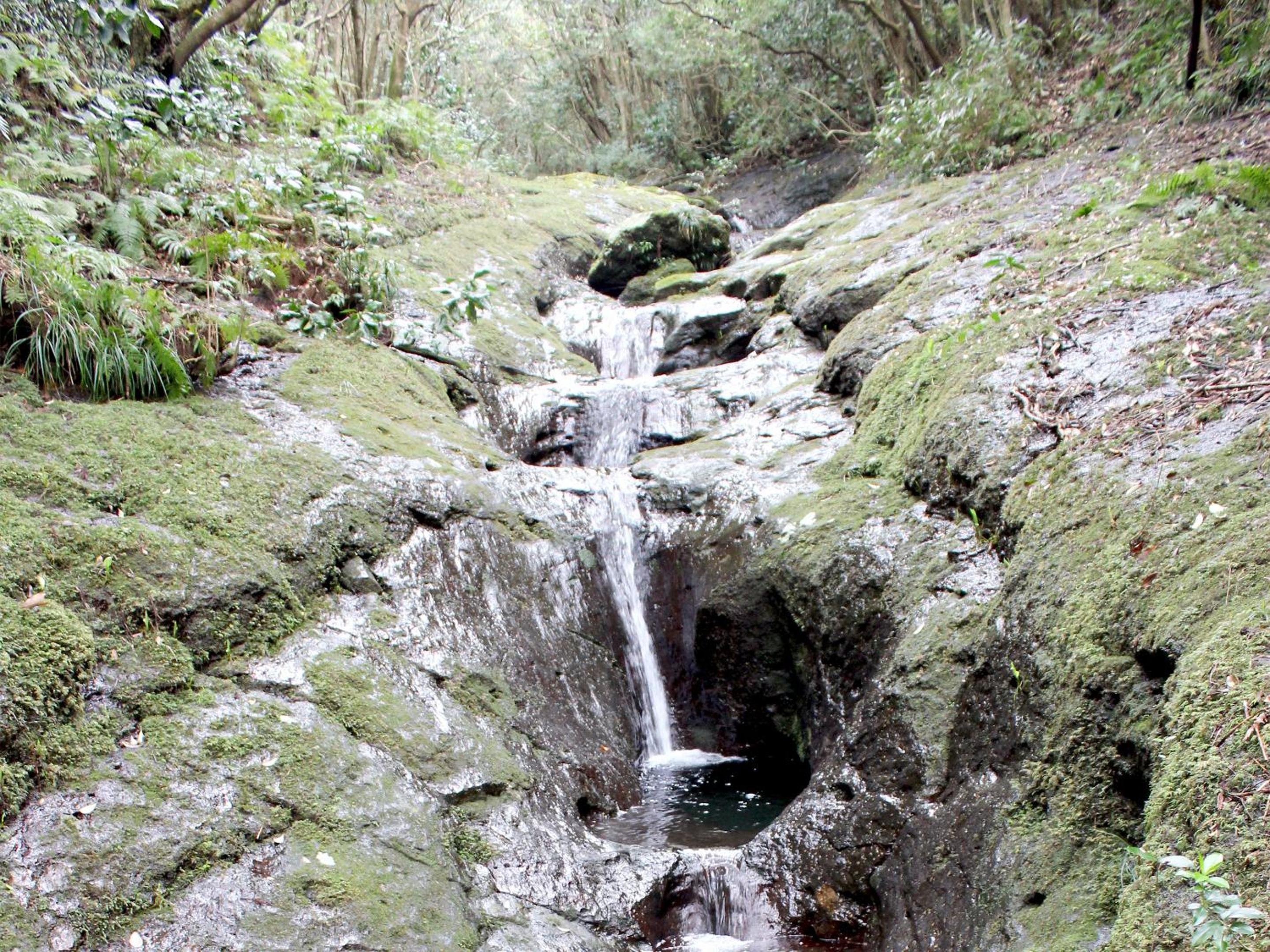 Mantenbo
