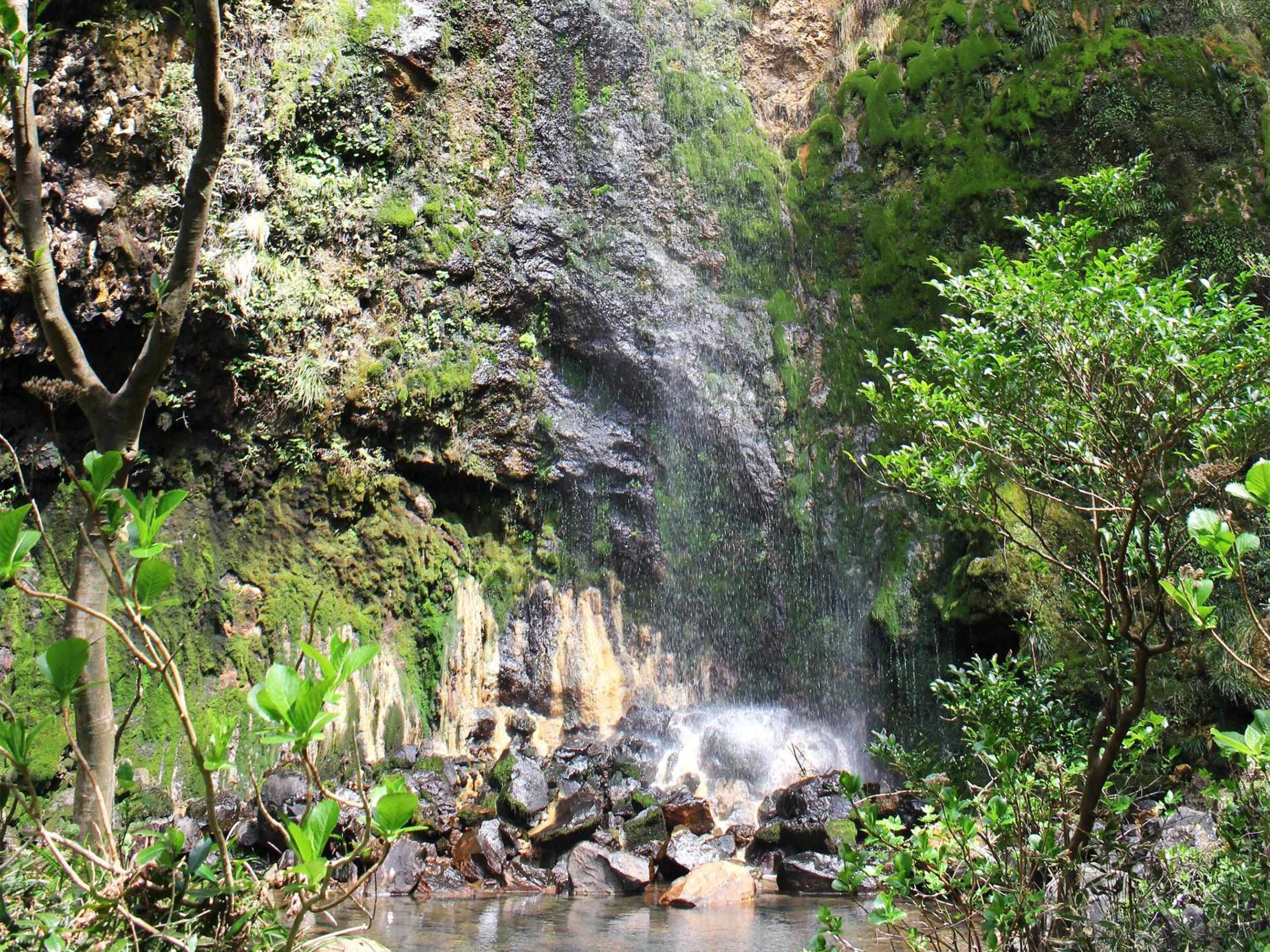 Mantenbo