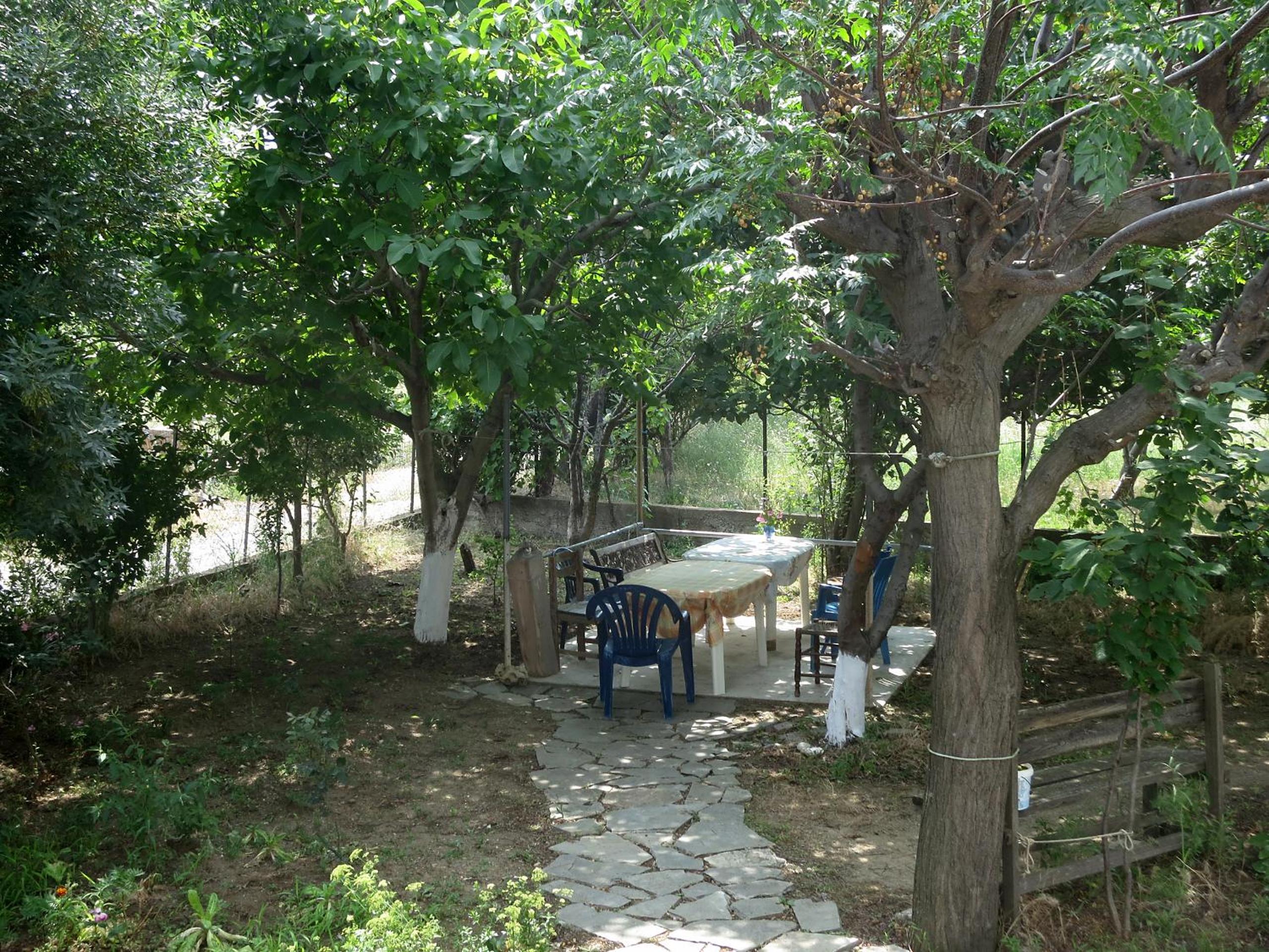 Photo 14
