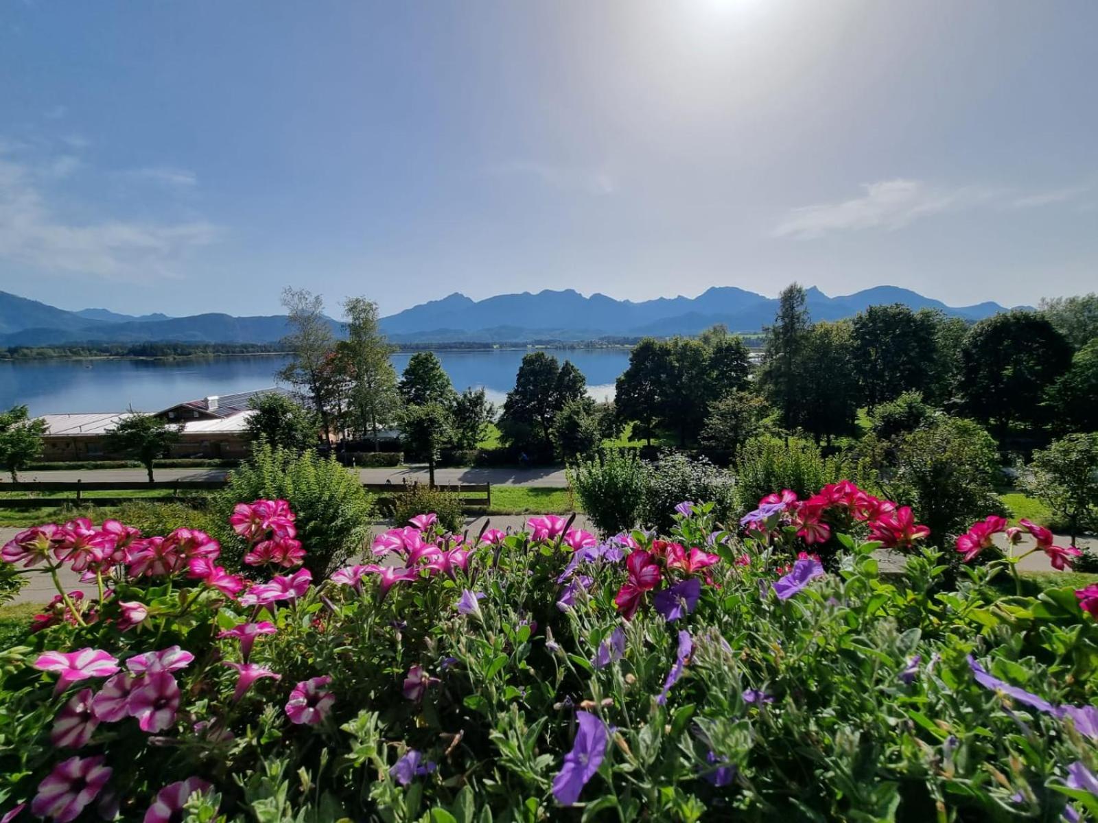 Landhaus Amberg Hopfen am See // Hopfensee // Füssen view 4