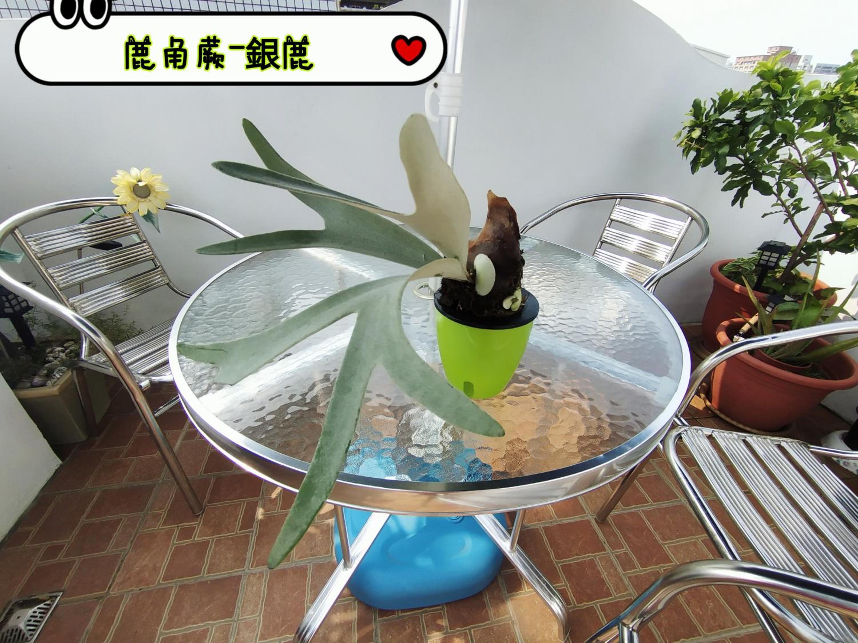 Photo 29