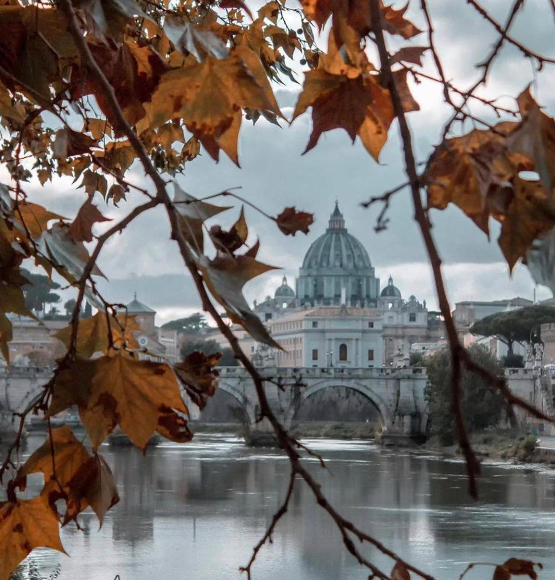 Carpe Diem Vaticano