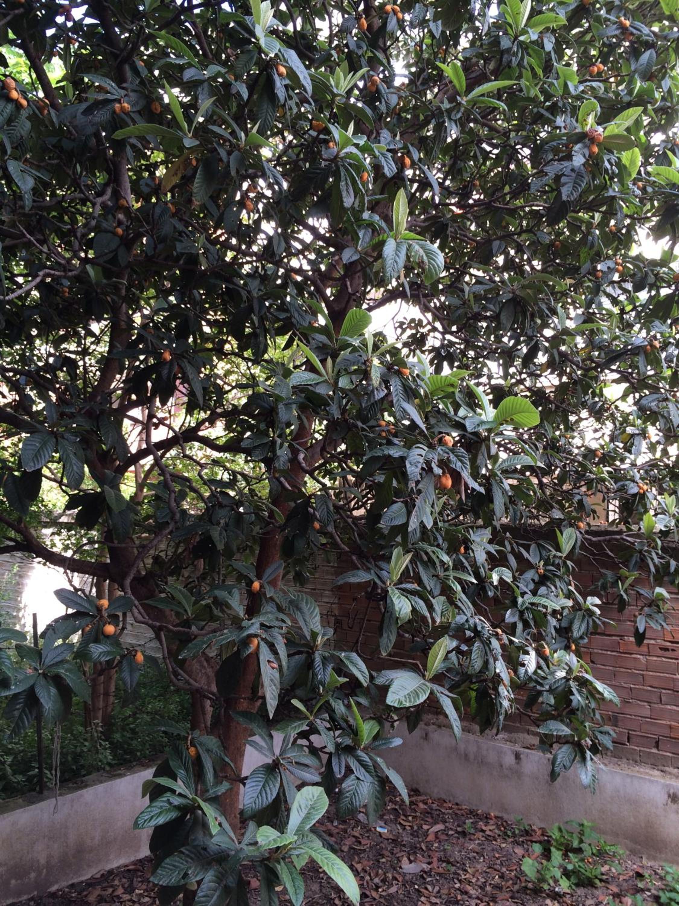 Konakli Apartments Izmir - Image 30