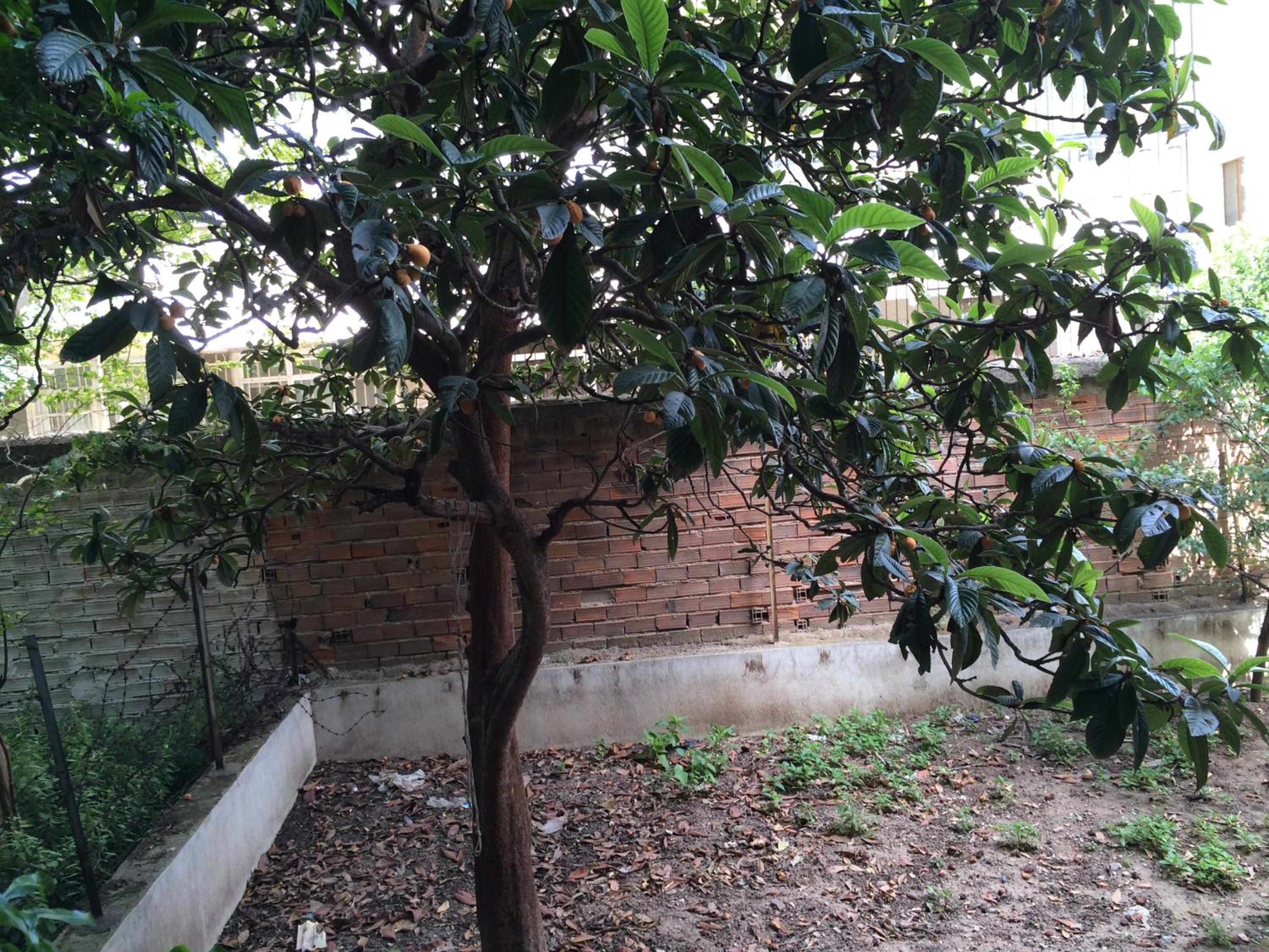 Konakli Apartments Izmir - Image 33