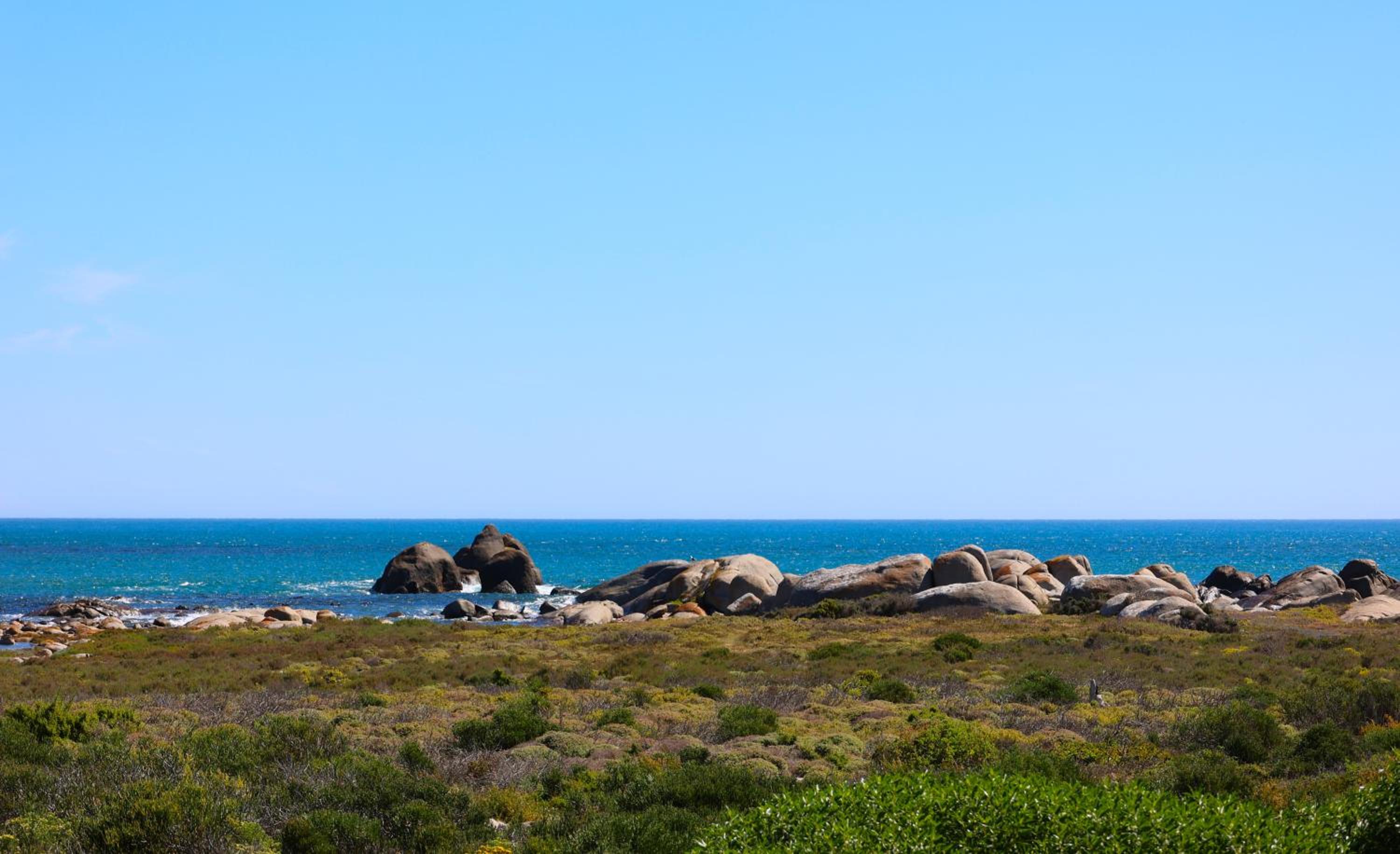 Hallo Jacobsbaai