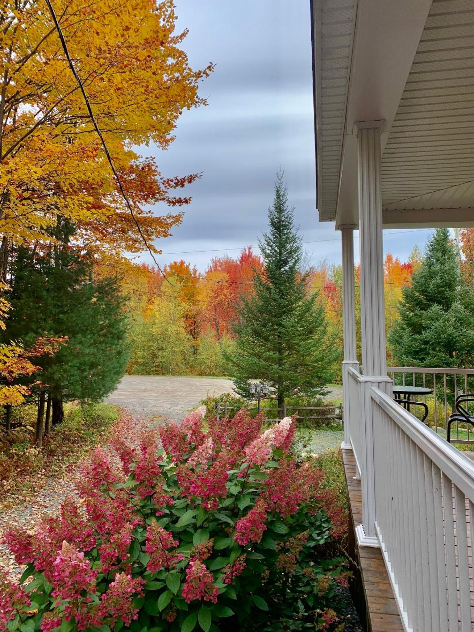 Au Gré Du Temps - Gîte B&B