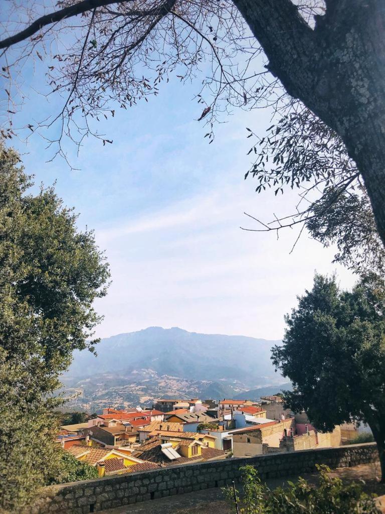 Orgosolo B&B Sardegna
