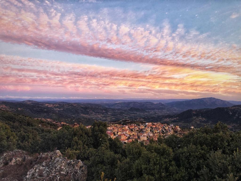 Orgosolo B&B Sardegna
