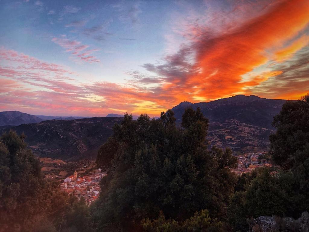 Orgosolo B&B Sardegna