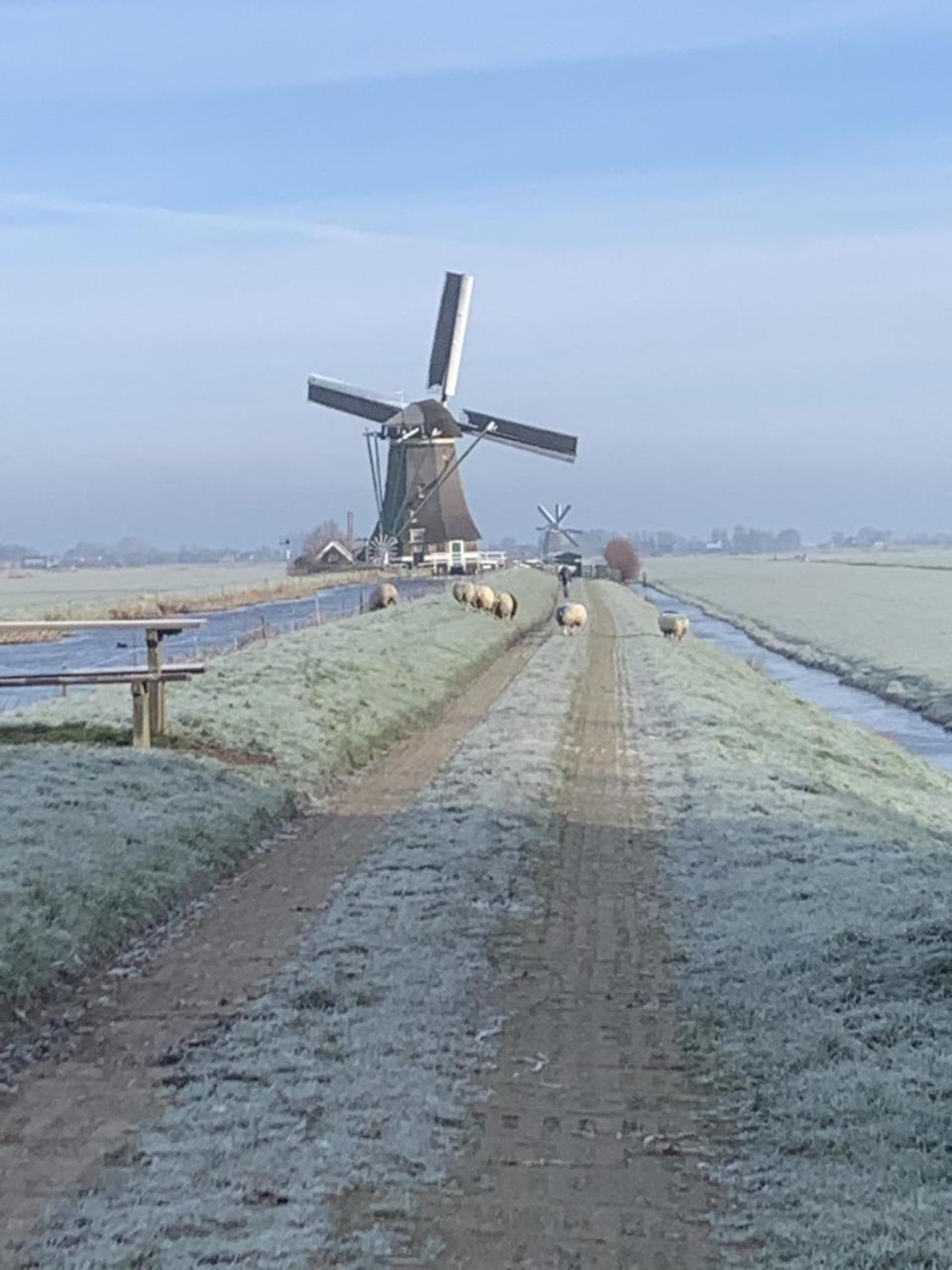 Aangenaam op de Rijn, woonboot, inclusief privé sauna