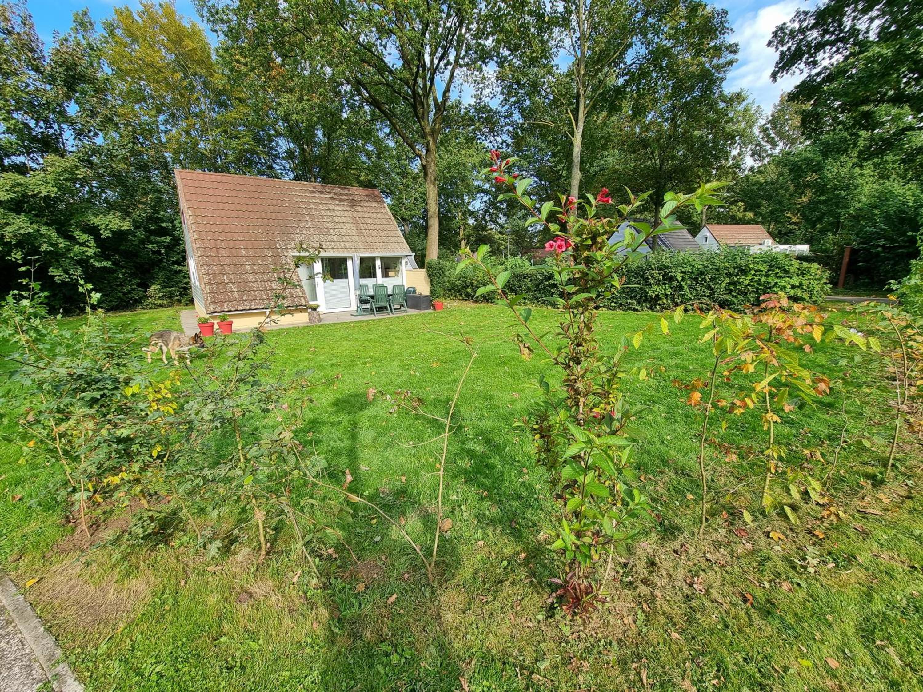 Belle-Swan view 4