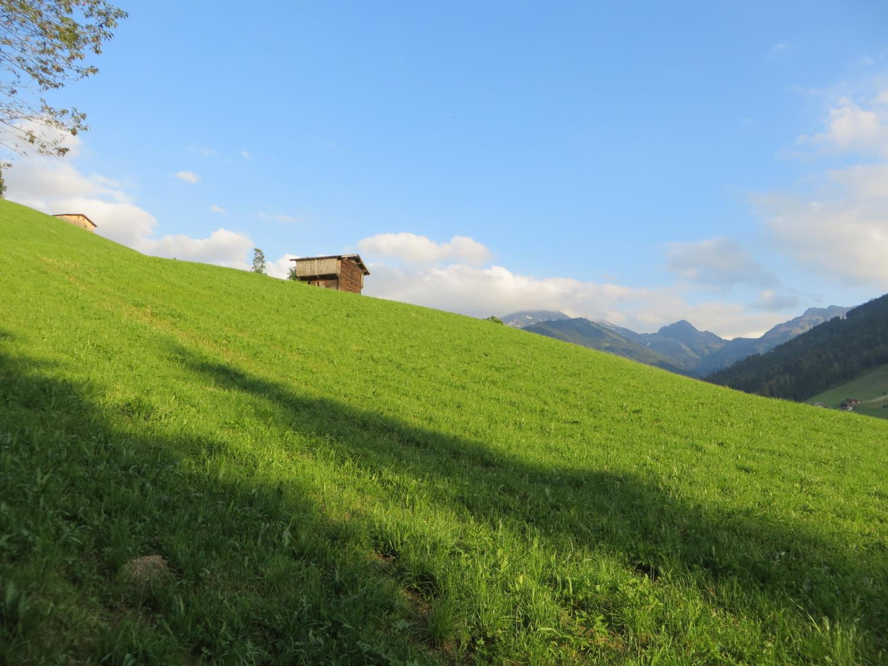 Pension Mühlbachhof