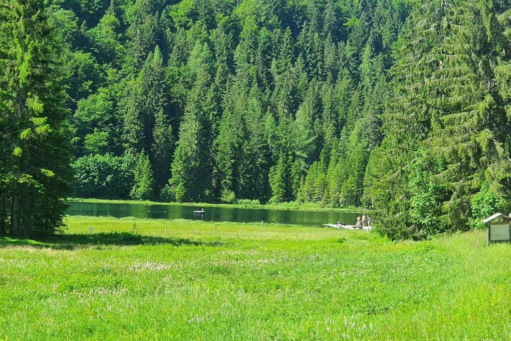 Alpenchalet im Steirischen Salzkammergut
