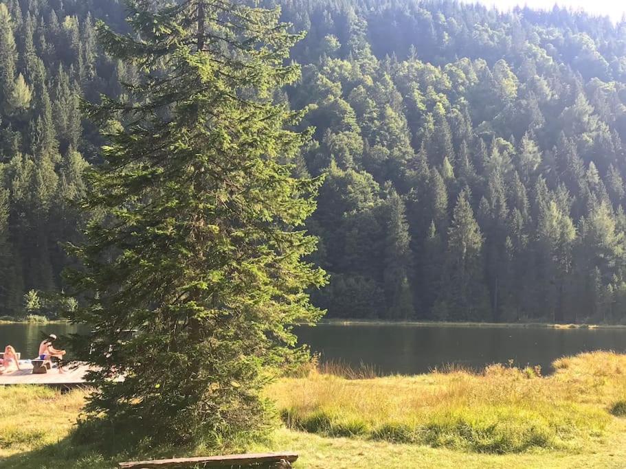 Alpenchalet im Steirischen Salzkammergut