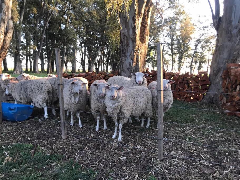 Estancia La Aurora, en Provincia de Buenos Aires