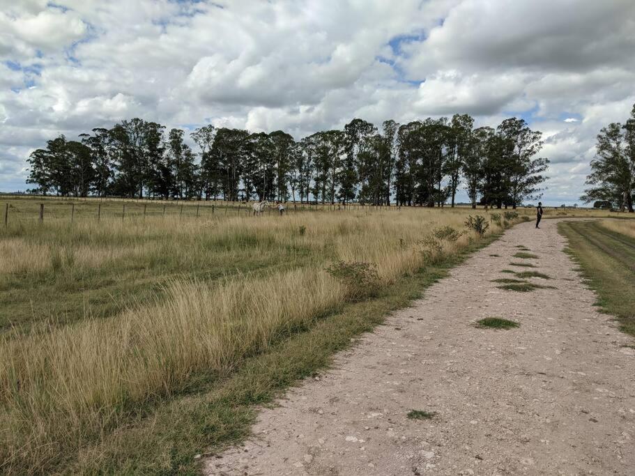 Estancia La Aurora, en Provincia de Buenos Aires