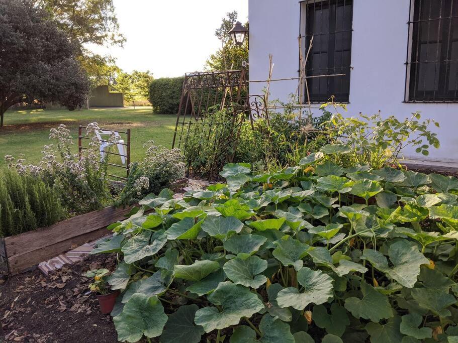 Estancia La Aurora, en Provincia de Buenos Aires