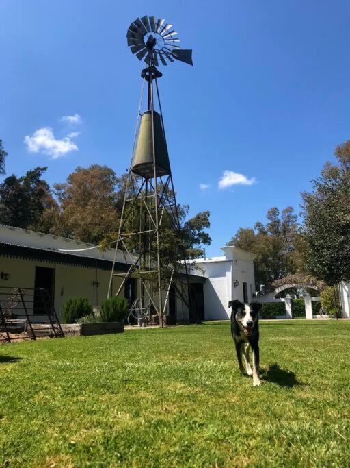 Estancia La Aurora, en Provincia de Buenos Aires
