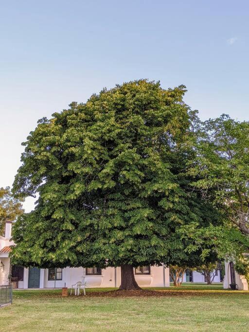 Estancia La Aurora, en Provincia de Buenos Aires