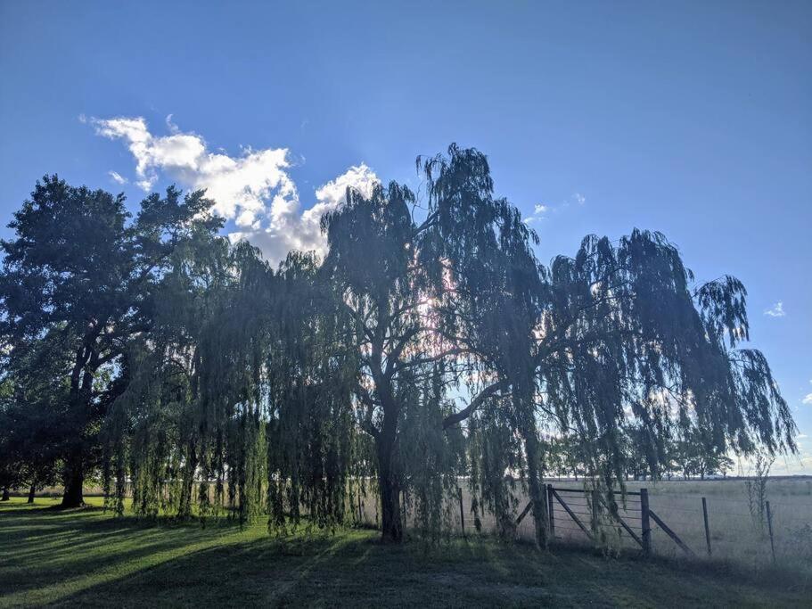 Estancia La Aurora, en Provincia de Buenos Aires