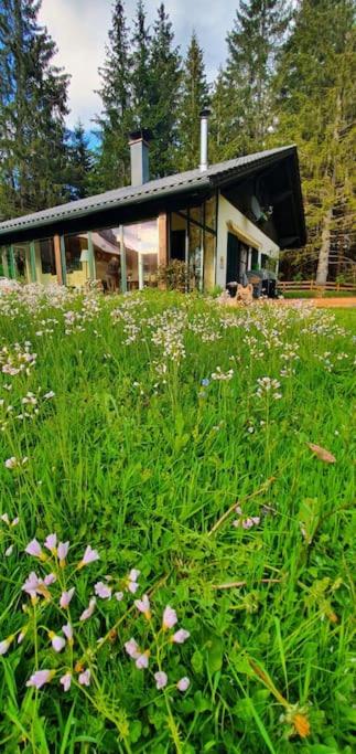 Alpenchalet im Steirischen Salzkammergut