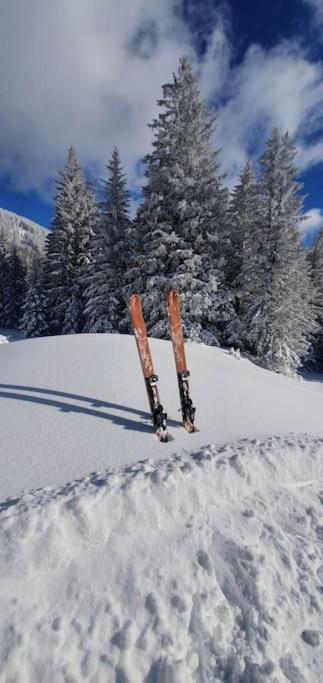 Alpenchalet im Steirischen Salzkammergut