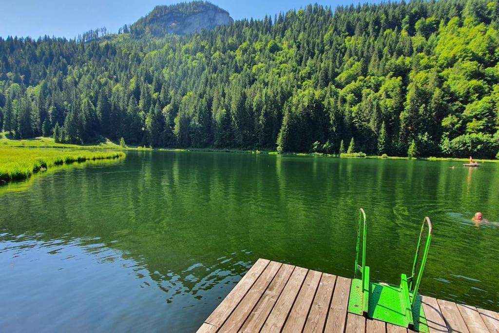 Alpenchalet im Steirischen Salzkammergut