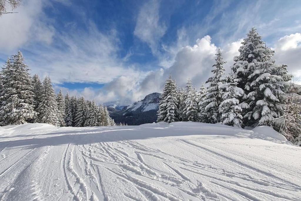 Alpenchalet im Steirischen Salzkammergut