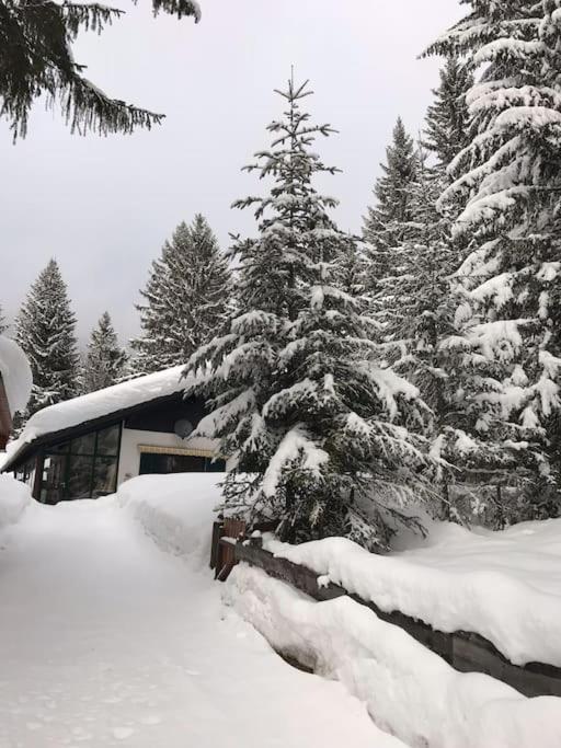 Alpenchalet im Steirischen Salzkammergut