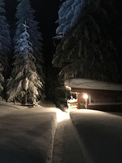 Alpenchalet im Steirischen Salzkammergut