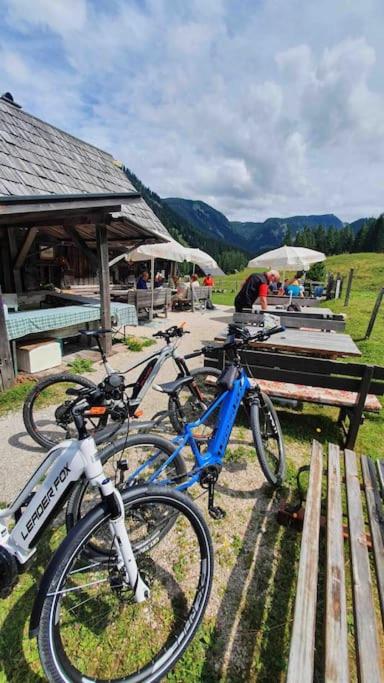 Alpenchalet im Steirischen Salzkammergut