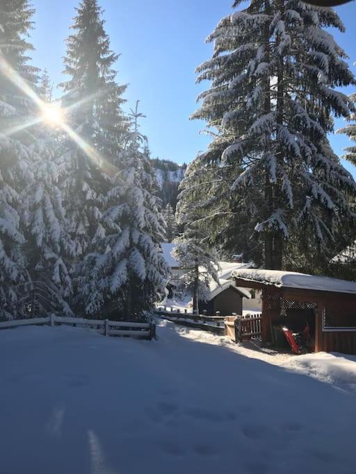 Alpenchalet im Steirischen Salzkammergut