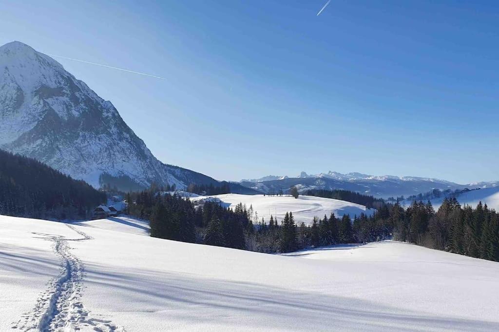 Alpenchalet im Steirischen Salzkammergut