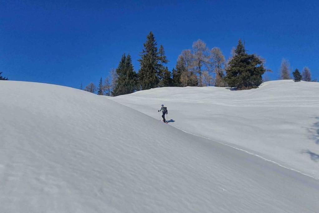 Alpenchalet im Steirischen Salzkammergut