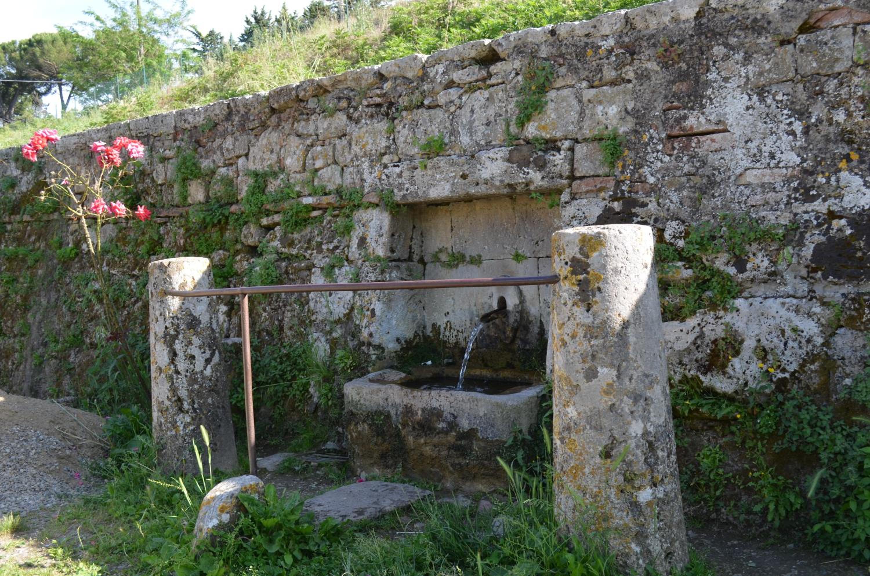 Photo 37