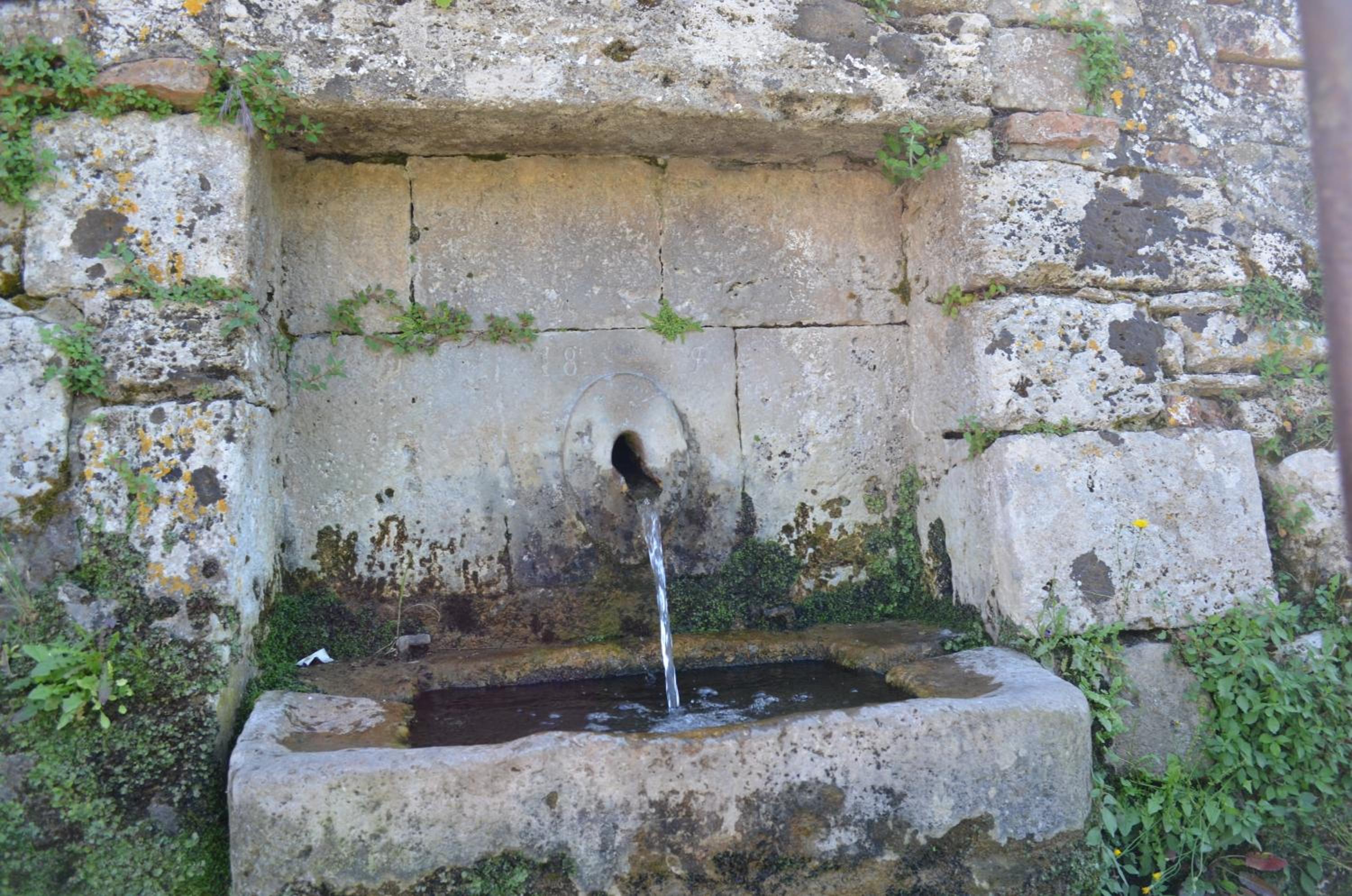 Photo 50