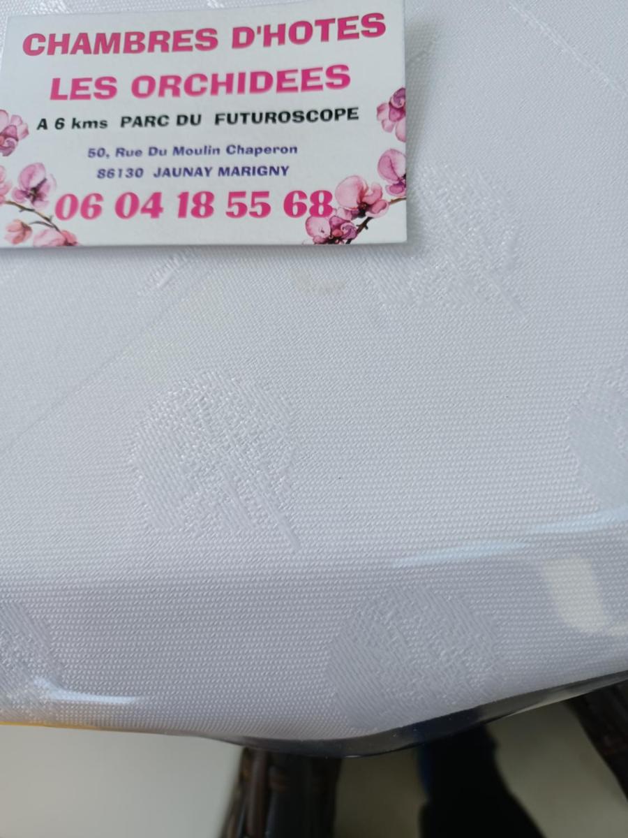 LES ORCHIDEES Ch Hôtes B&B 14 personnes Jaunay-Clan view 2