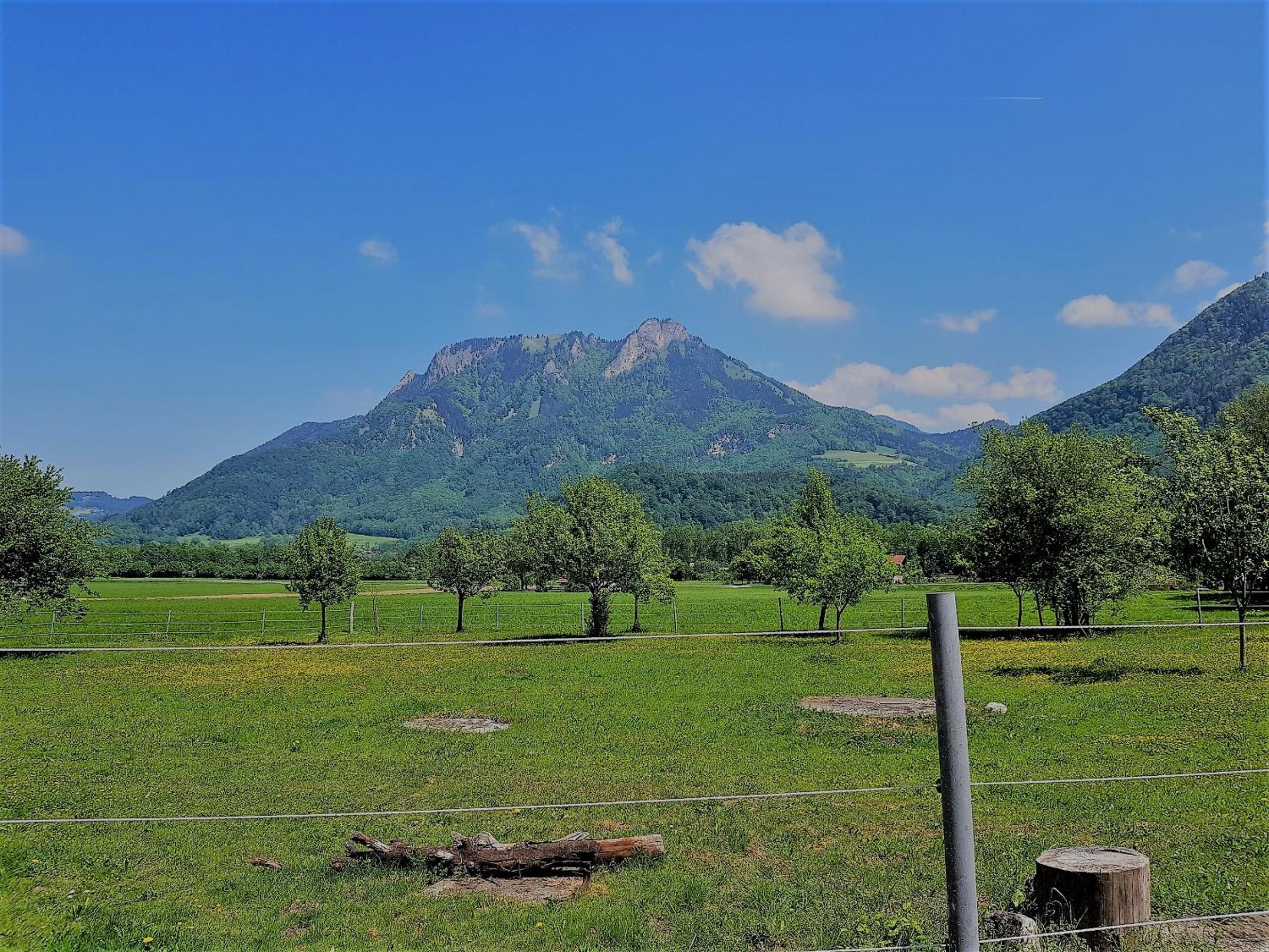 Riederhof
