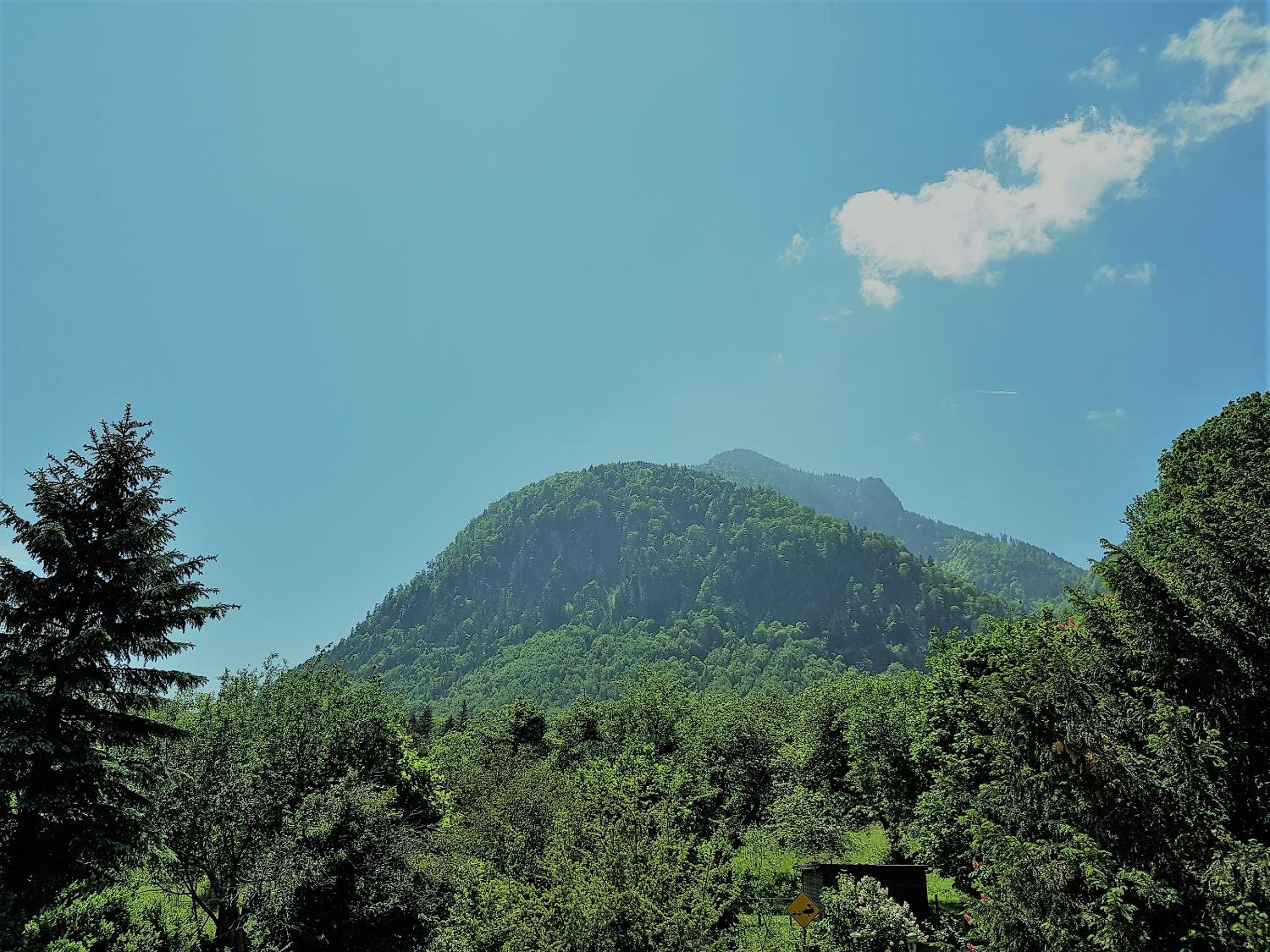 Riederhof
