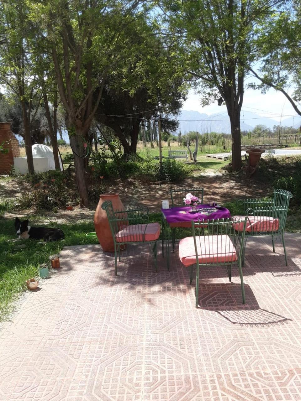 Encuentro de Almas (Soulmate Encounter)