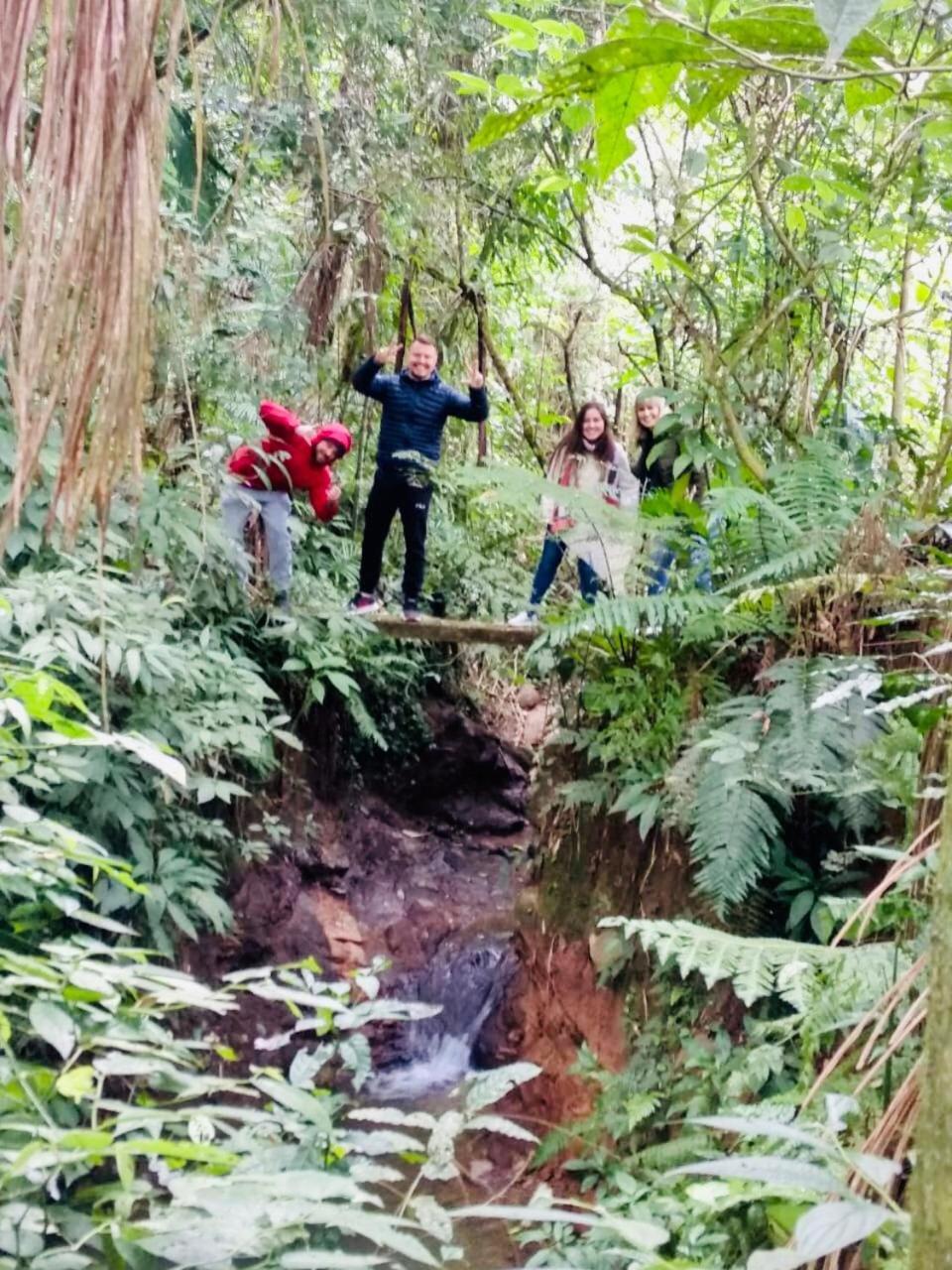Quinta da Gavea - Hospedaria e Quintal Criativo