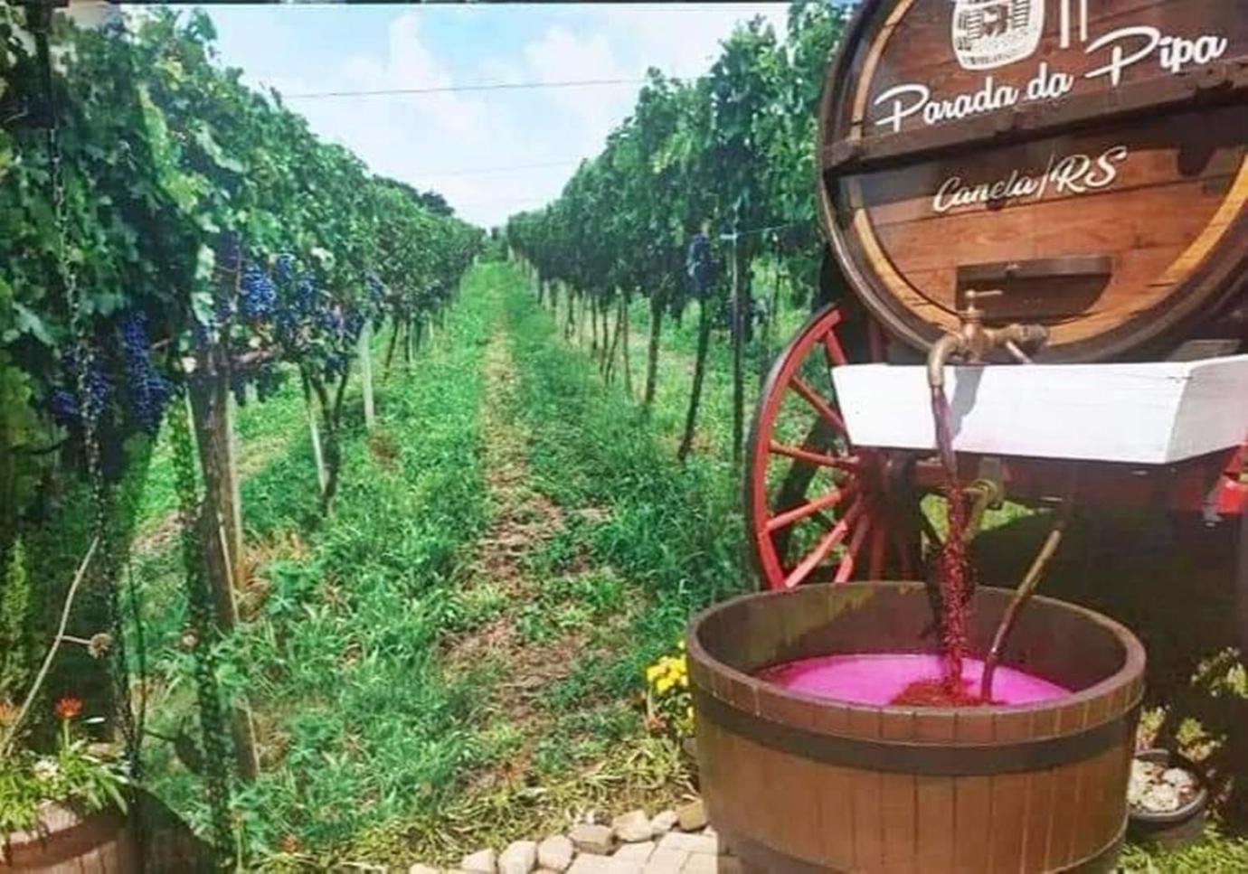 Chalé Temático em Pipa de Vinho - Parada da Pipa Chalés