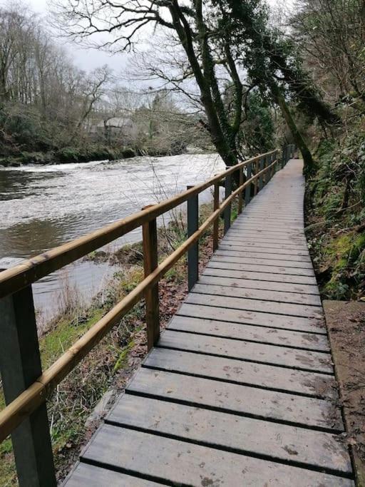 Cottage by the river in Cenarth with seasonal fishing and Wifi view 4