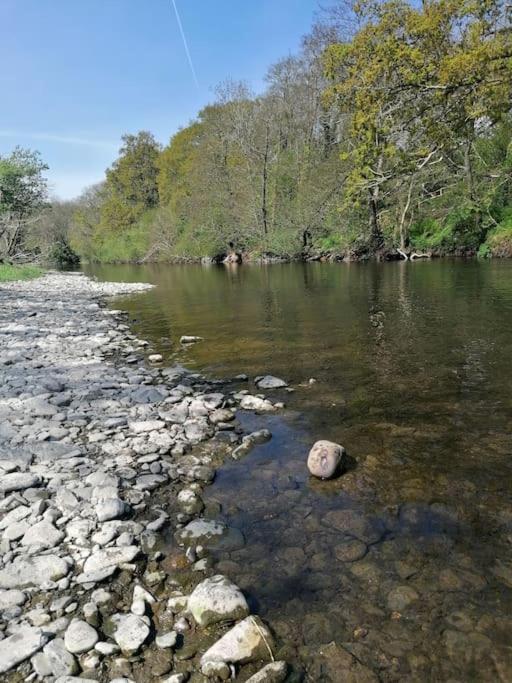 Cottage by the river in Cenarth with seasonal fishing and Wifi view 5