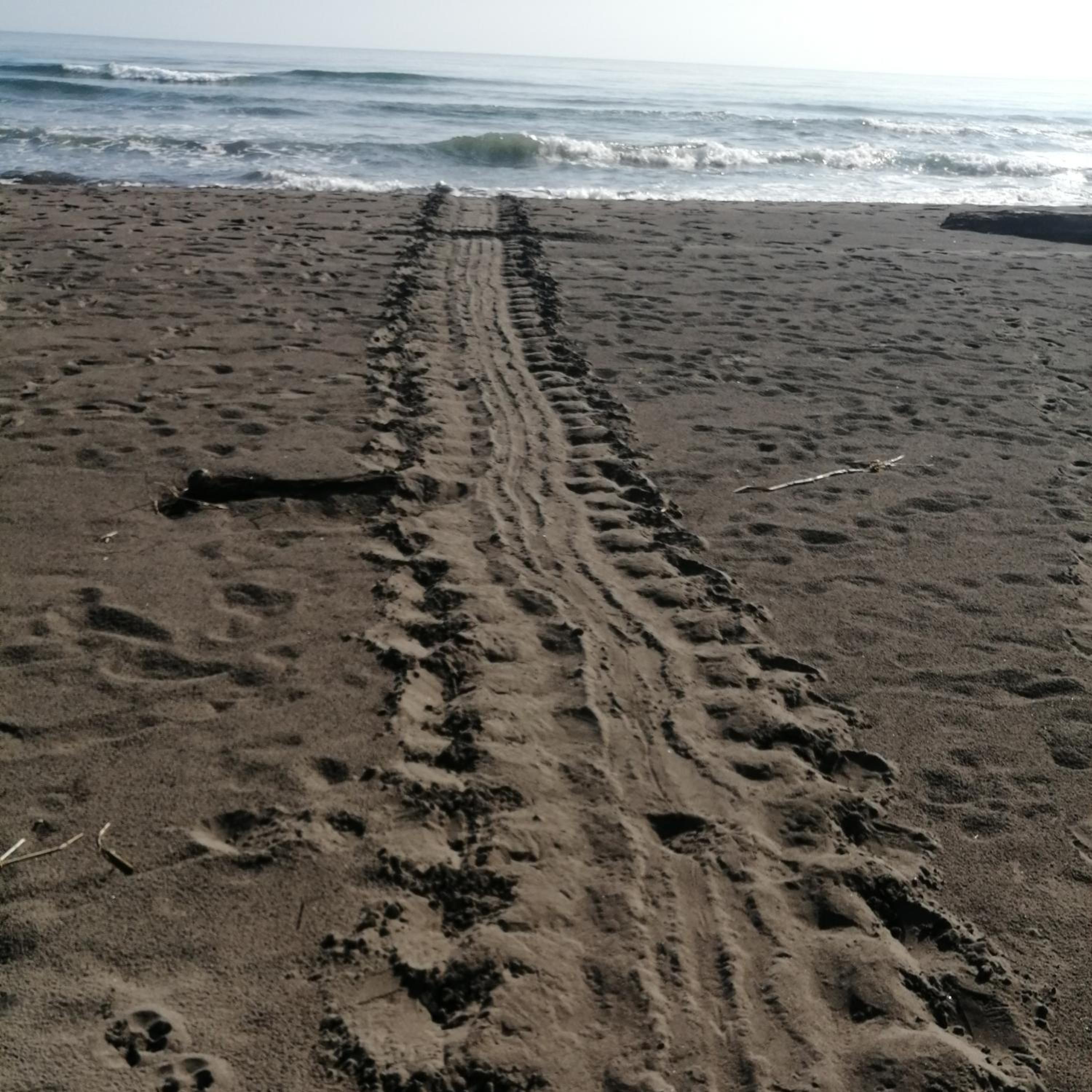 Photo 23