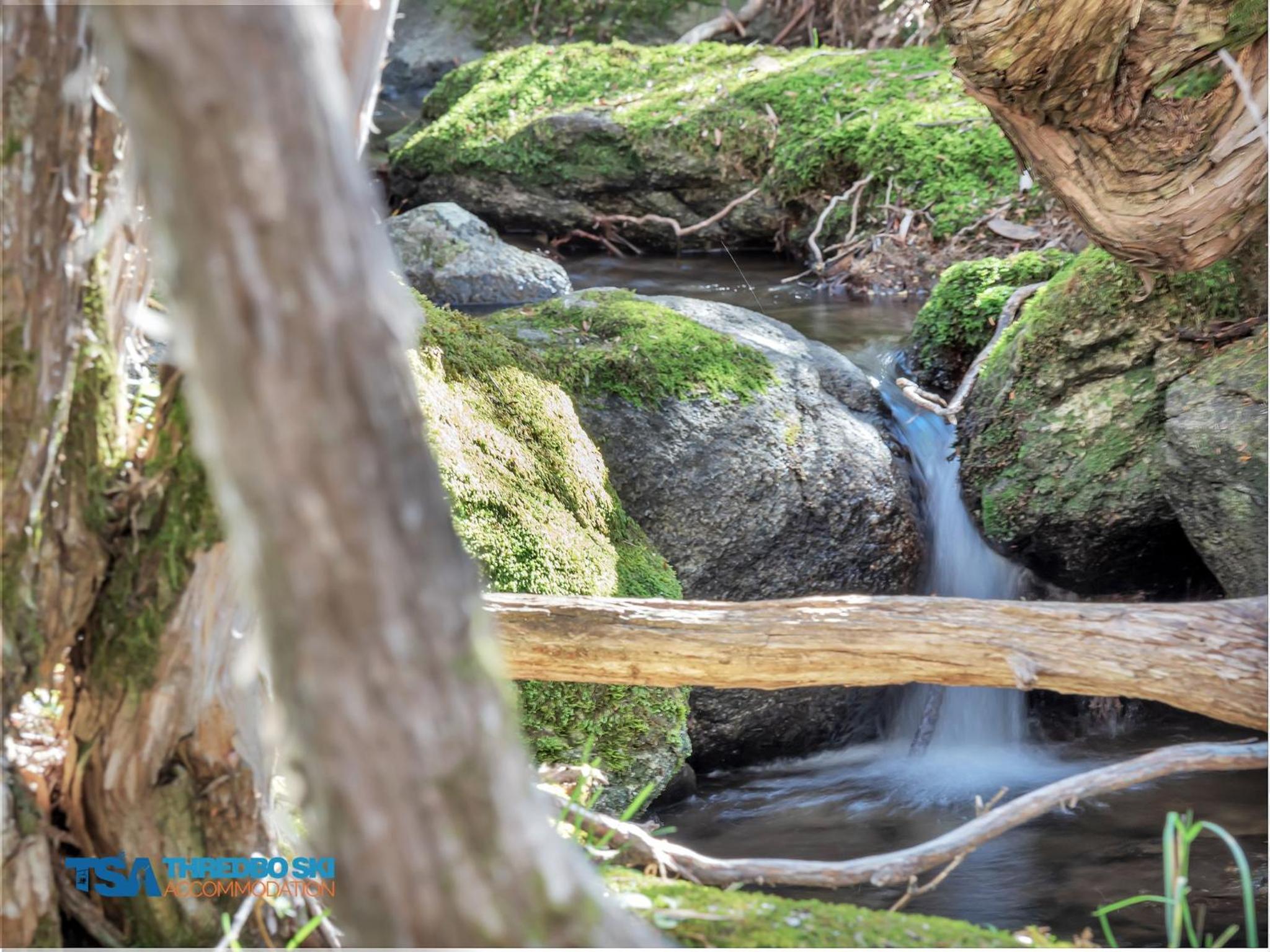 Ramshead Creek 1